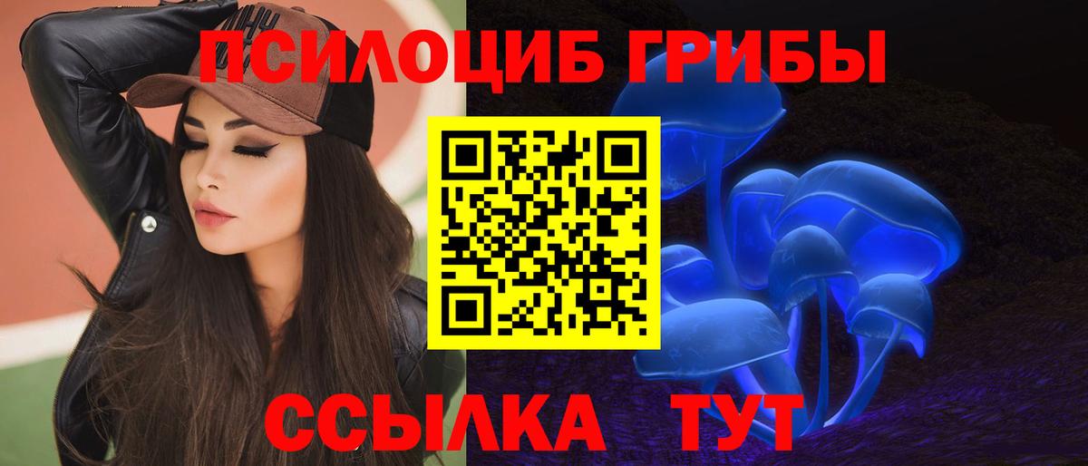 Псилоцибиновые грибы мицелий  Вход с VPN  Зима  Галлюциногенные грибы ЛСД 