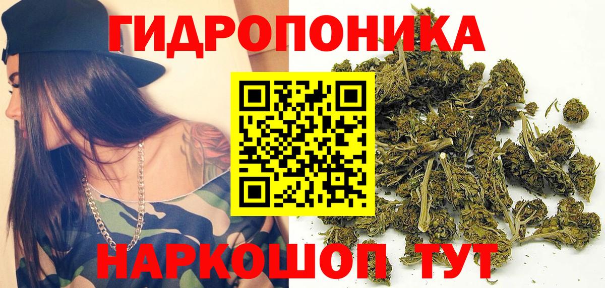 Канабис ГИДРОПОН Зима